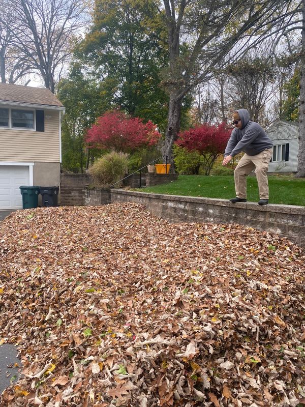 Seasonal Clean Ups
