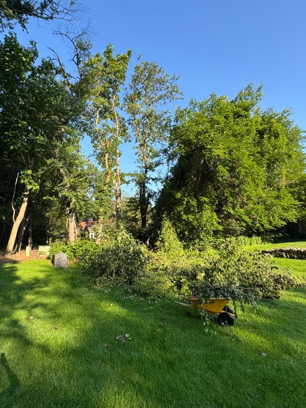 Land Clearing and Site Preparation
