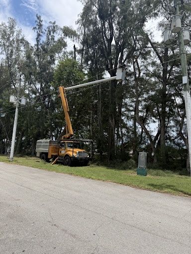 Tree Trimming