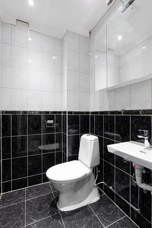 Toilet Changeout