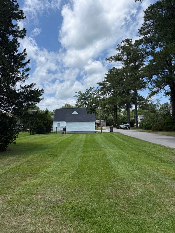 Lawn Maintenance