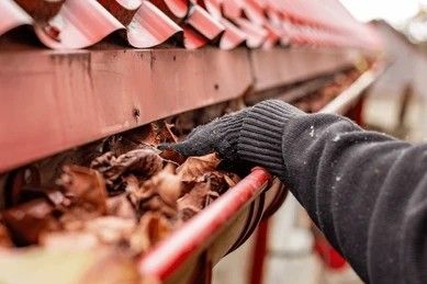 Gutter Maintenance