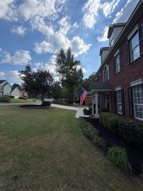 Bush & Shrub Trimming