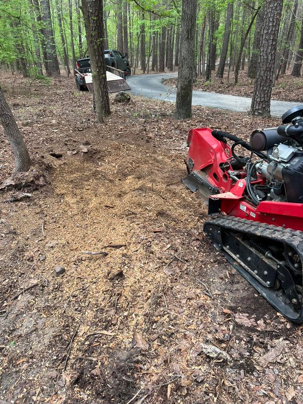 Bush Hogging