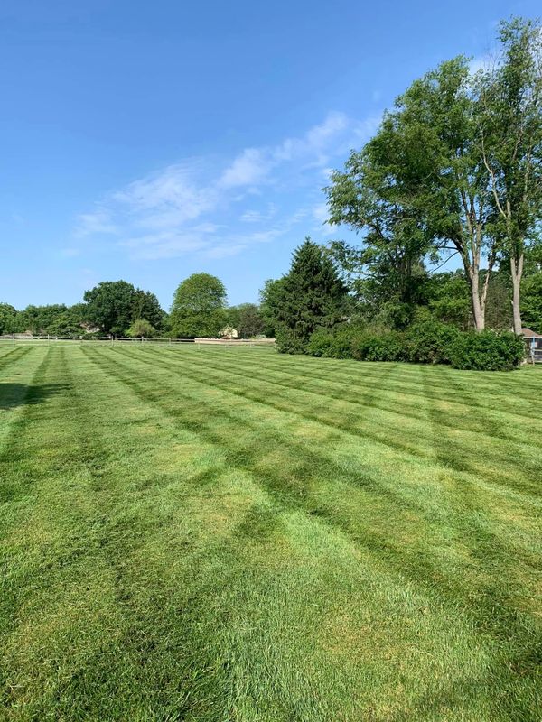 Lawn Maintenance