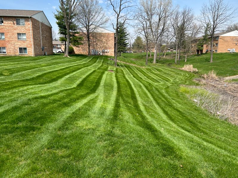 Commercial Lawn Care & Landscaping