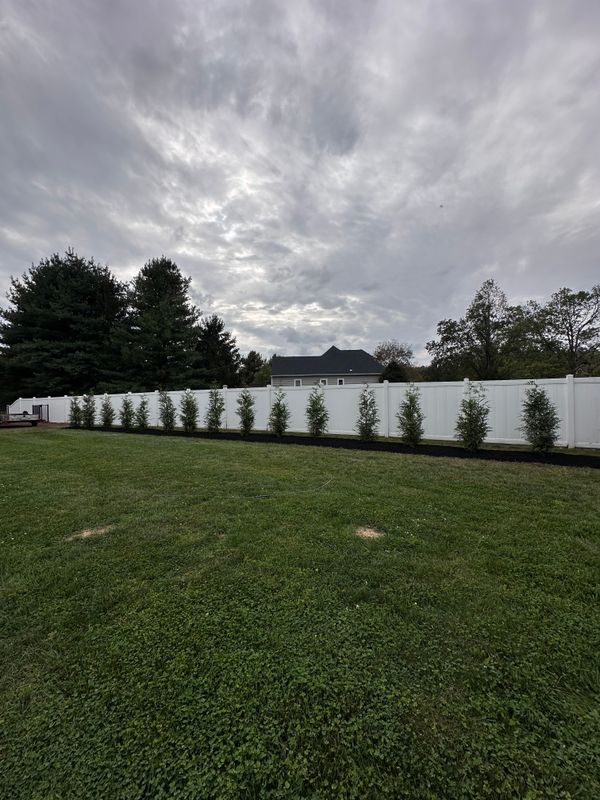 Tree & Perennial Planting