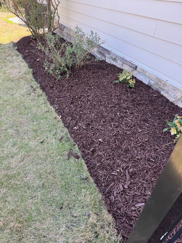 Planting