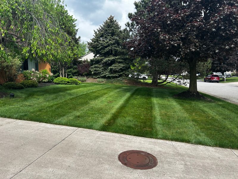 Lawn Maintenance