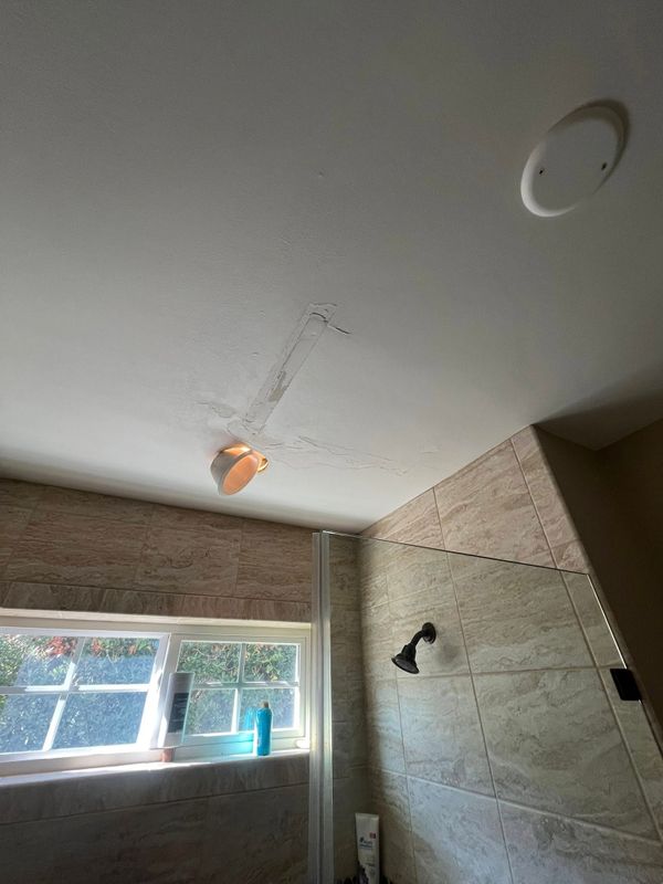 Drywall and Plastering