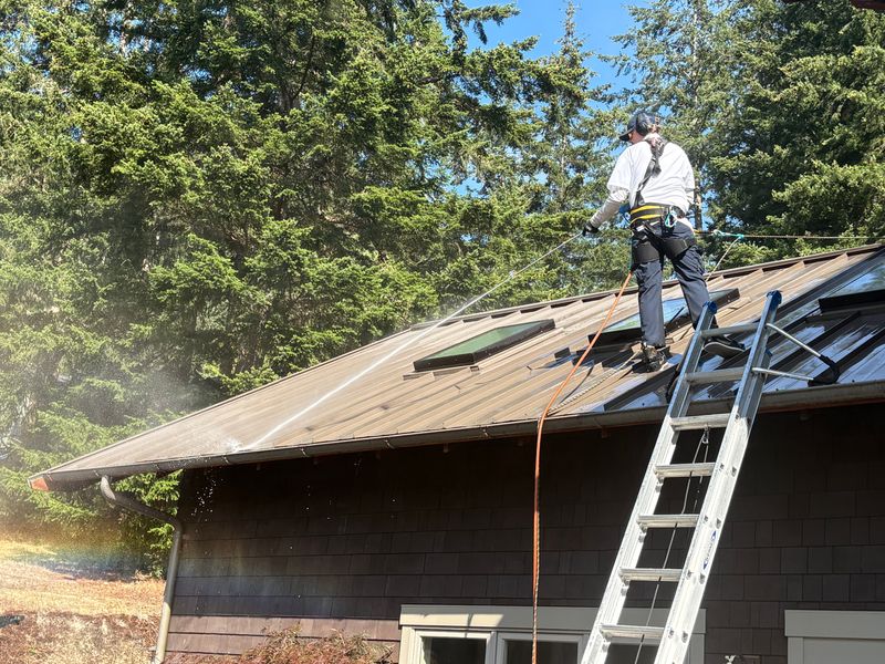 Roof Cleaning