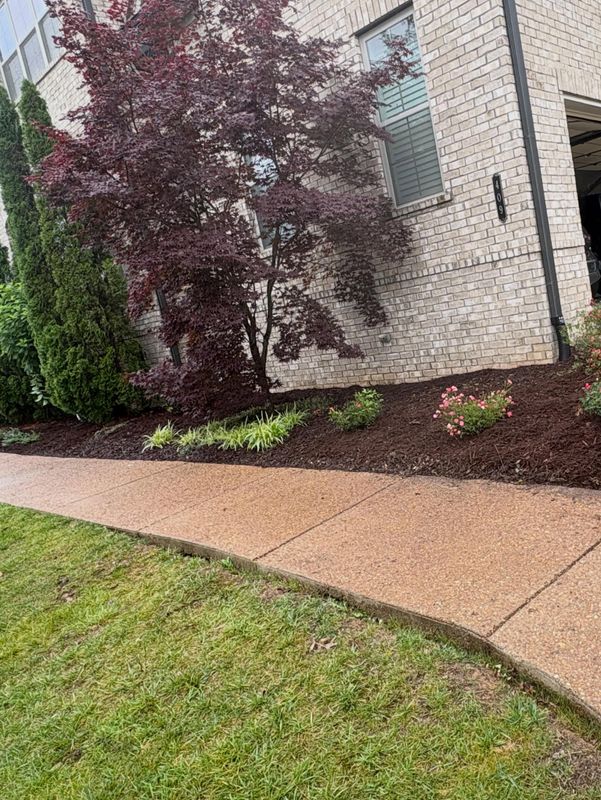 Lawn Maintenance