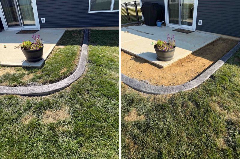 Garden Design and Installation