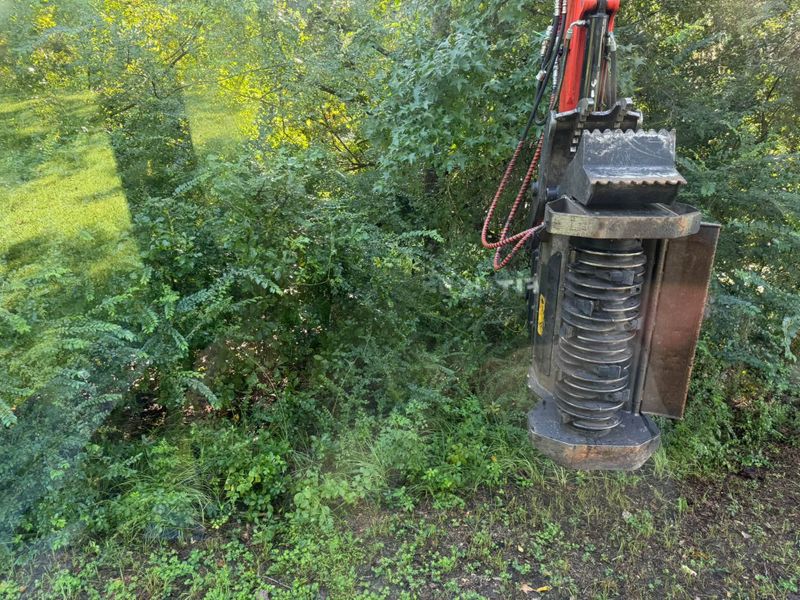 Land Clearing