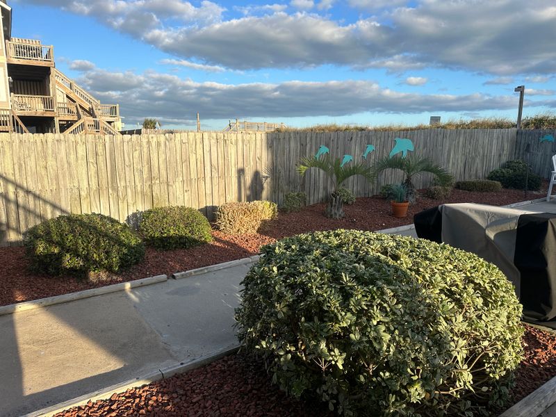 Shrub Trimming