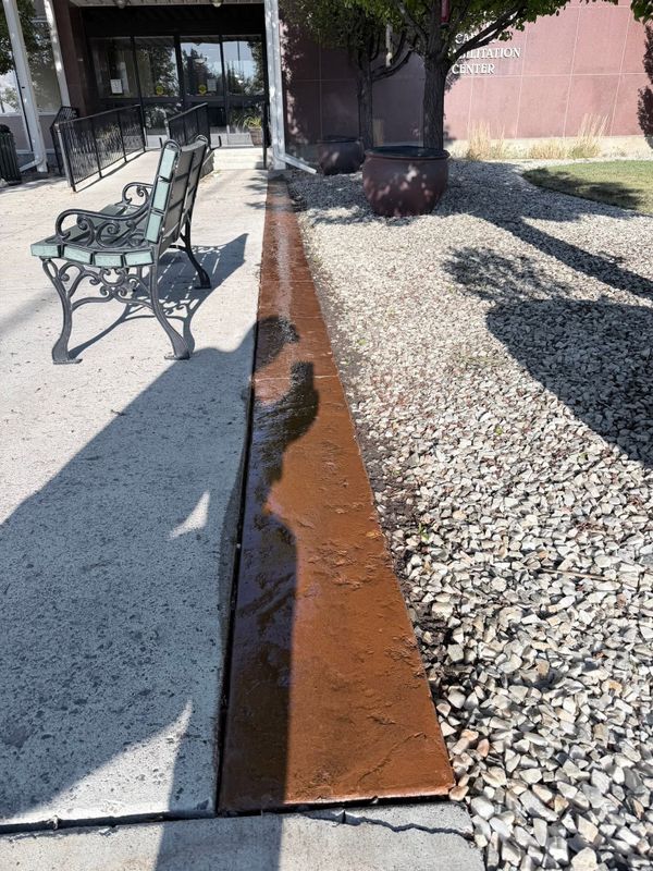 Garden Designs