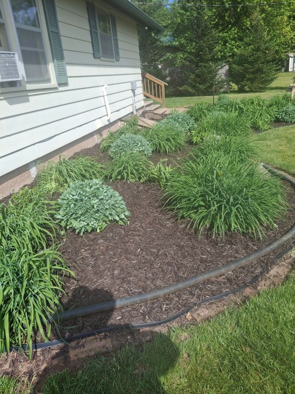 Landscape Design