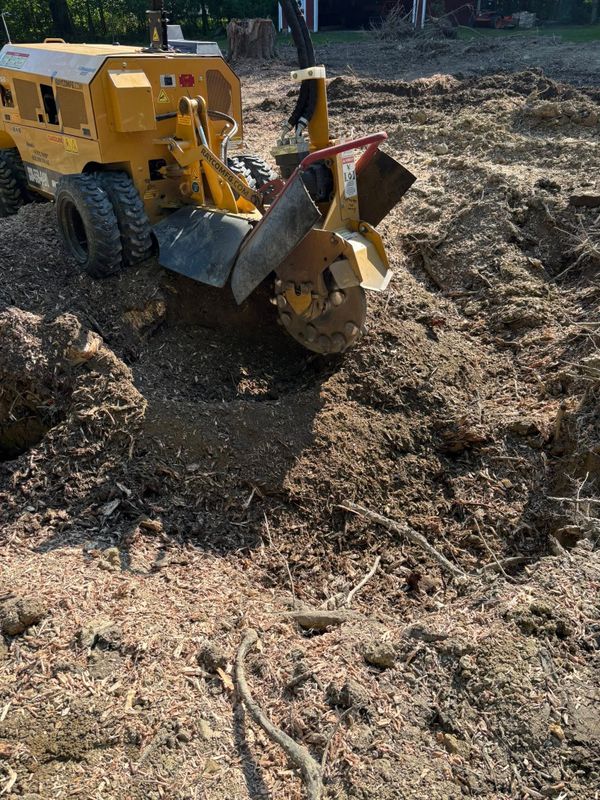 Stump Removal