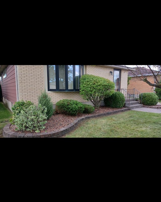 Shrub & Plant Installation Photos