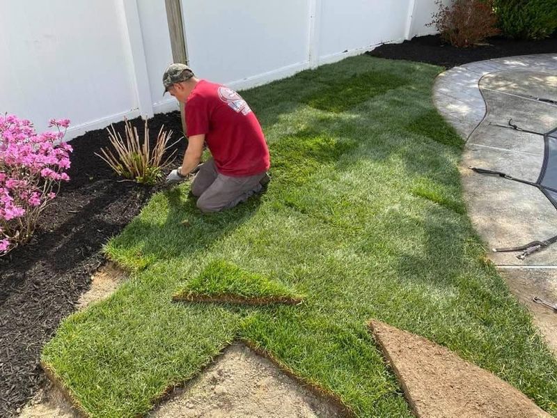 Landscaping