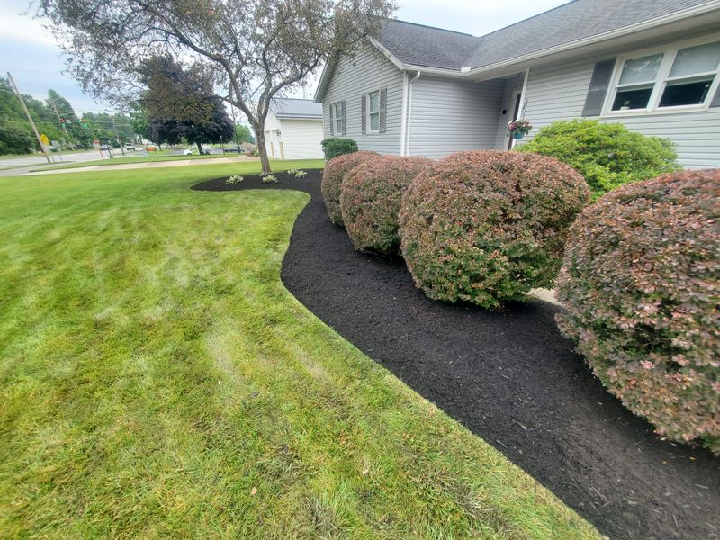 Tree & Shrub Care
