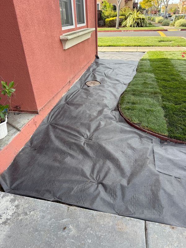 Landscaping