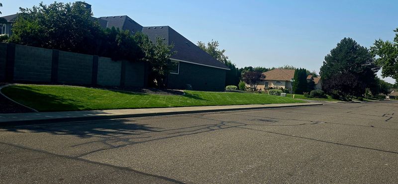 Lawn Maintenance