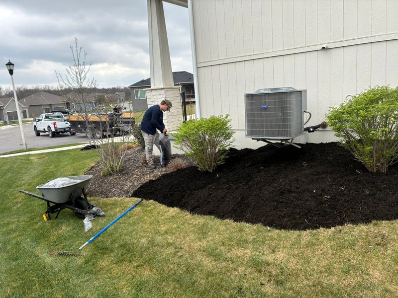 Landscape Design & Installation