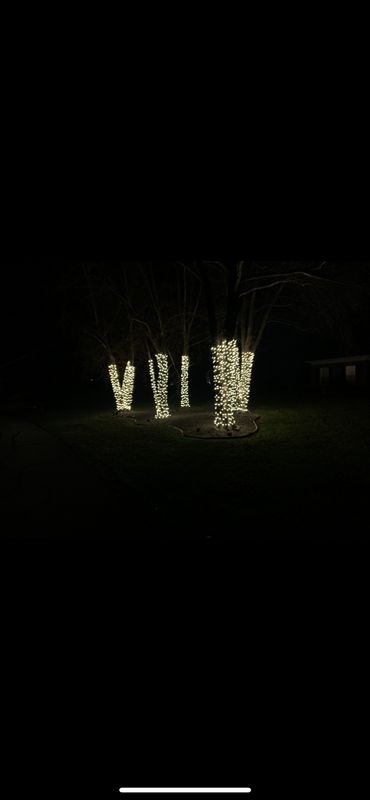 Professional Christmas-light installation Gallery
