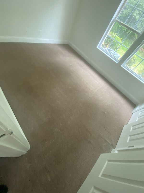 Carpet Cleaning