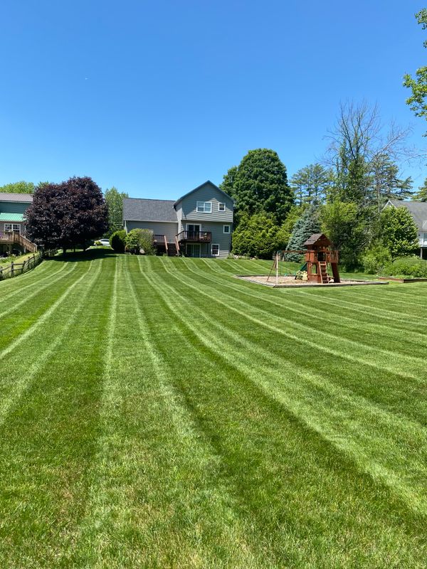 Mowing