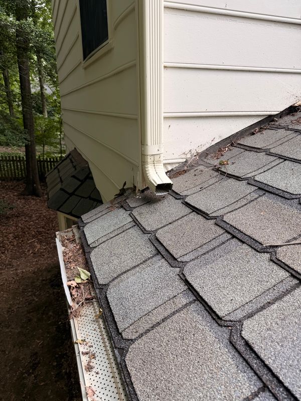 Roof Soft Wash
