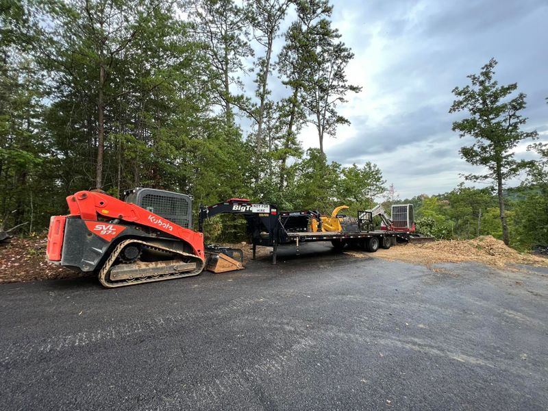 Land Clearing