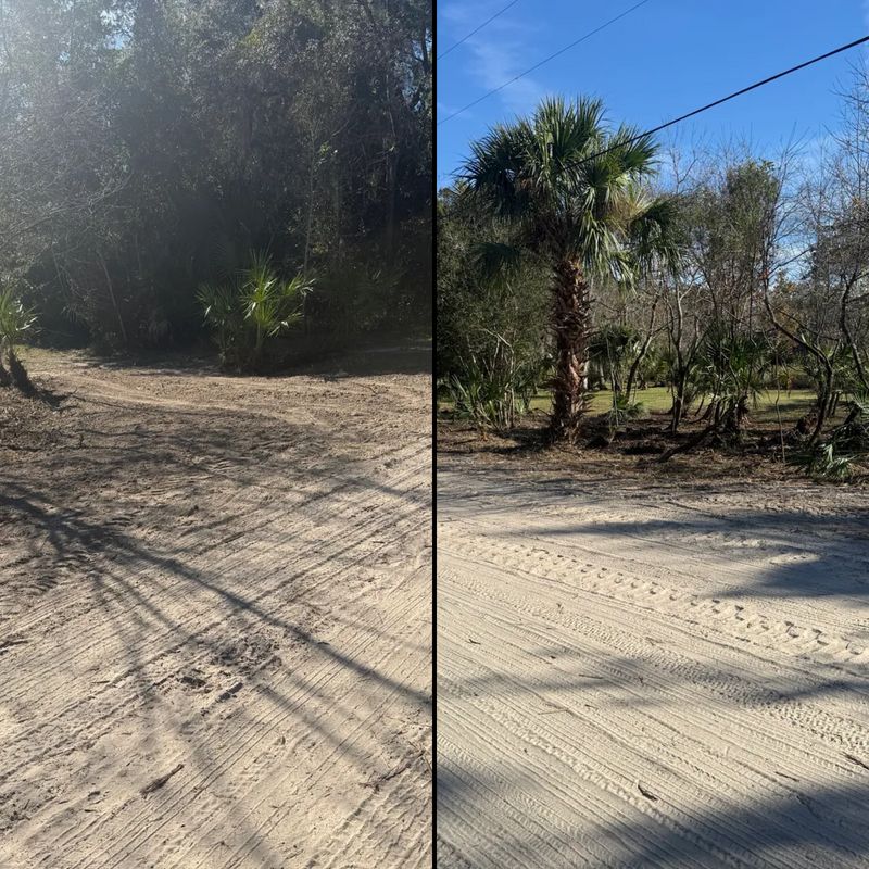 Land Clearing
