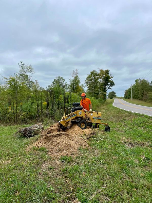 Stump Removal