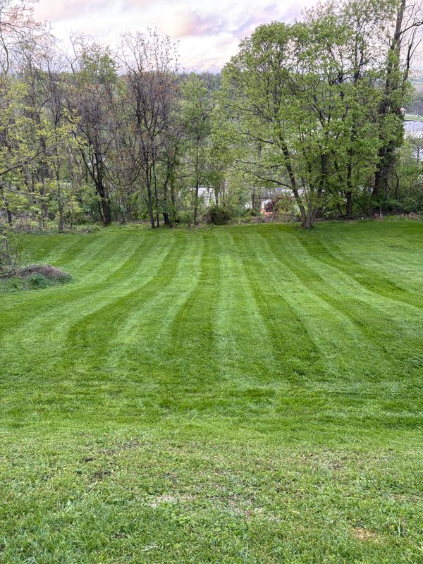 Lawn Care