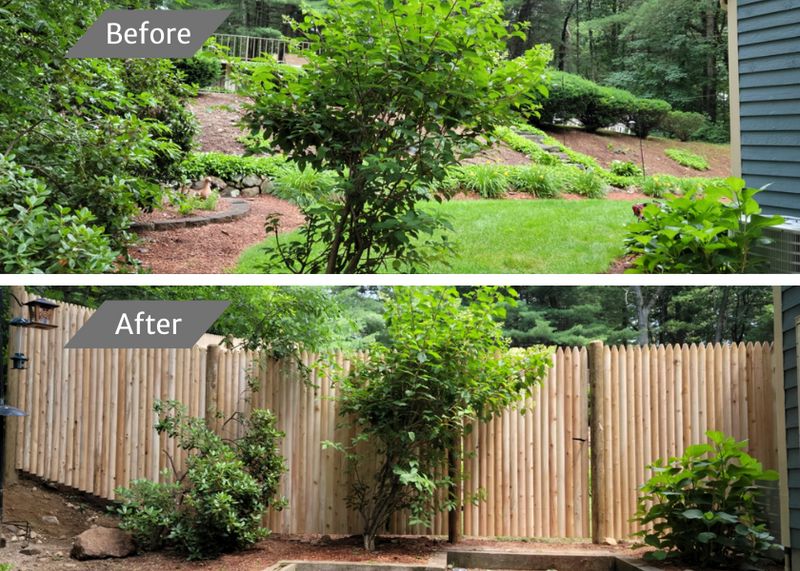 Before and After