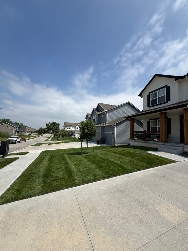 Lawn Maintenance
