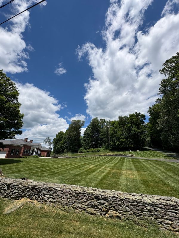 Lawn Maintenance