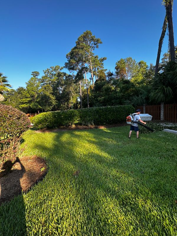 Shrub Trimming
