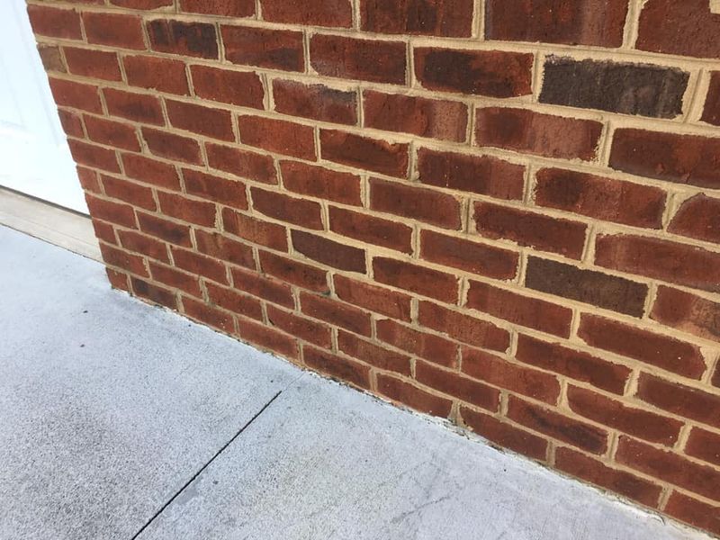 Brick Cleaning