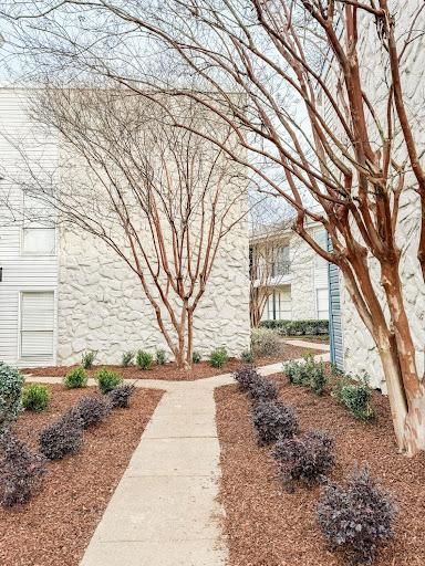 Shrub Trimming