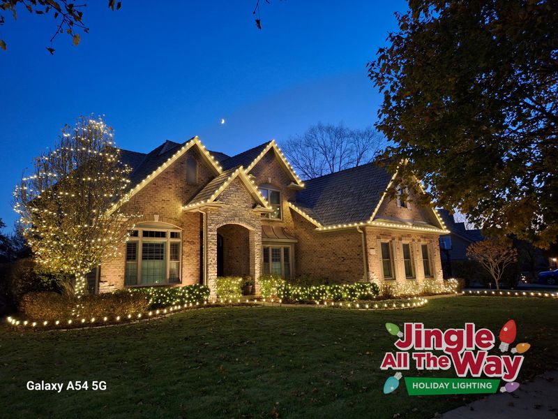 Jingle all the way 