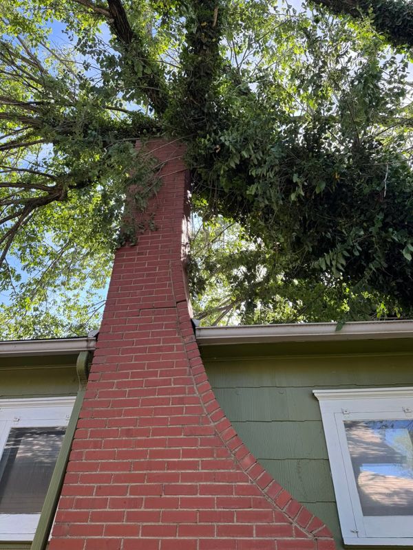 Emergency Tree Services