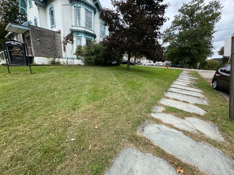 Lawn Care