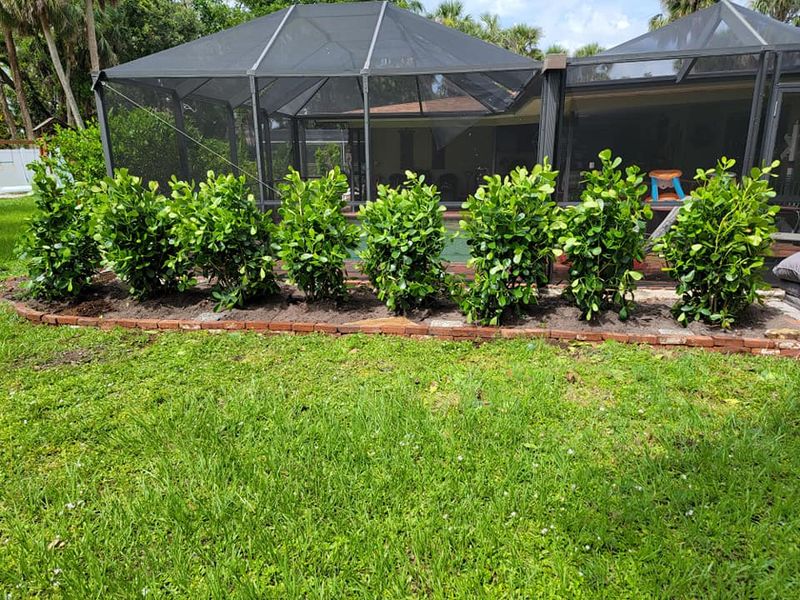 Landscaping