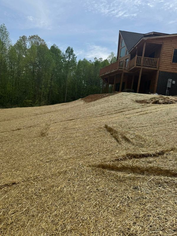 Land Clearing gallery