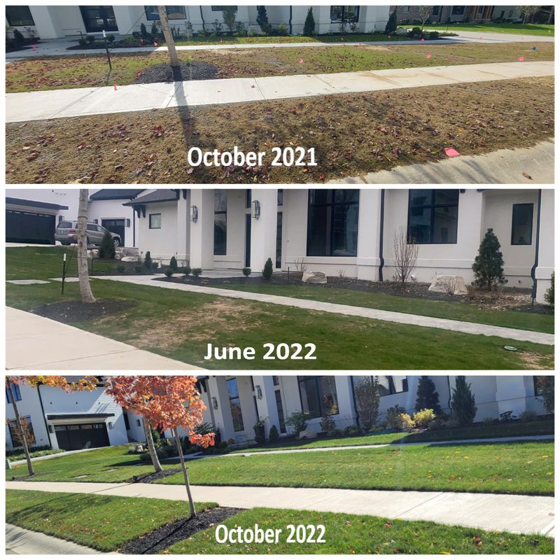Turf Development and Maintenance 