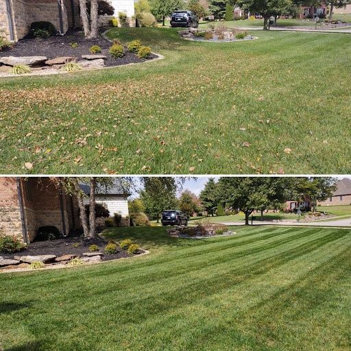 Lawn Maintenance Service