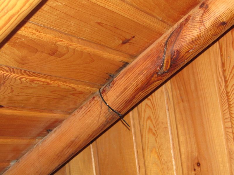 Interior Renovations